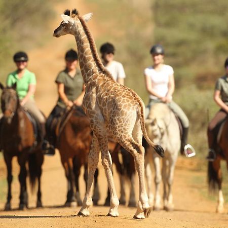 Pakamisa Private Game Reserve Pongola Exterior photo
