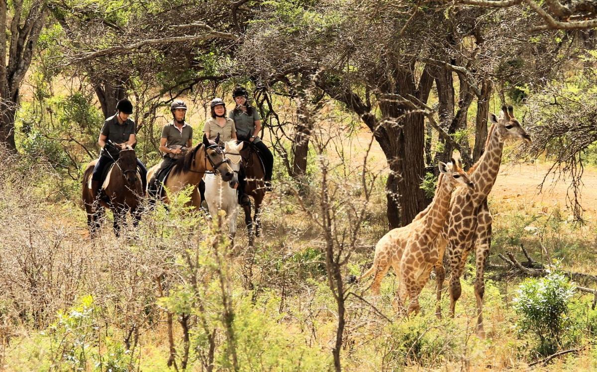 Pakamisa Private Game Reserve Pongola Exterior photo